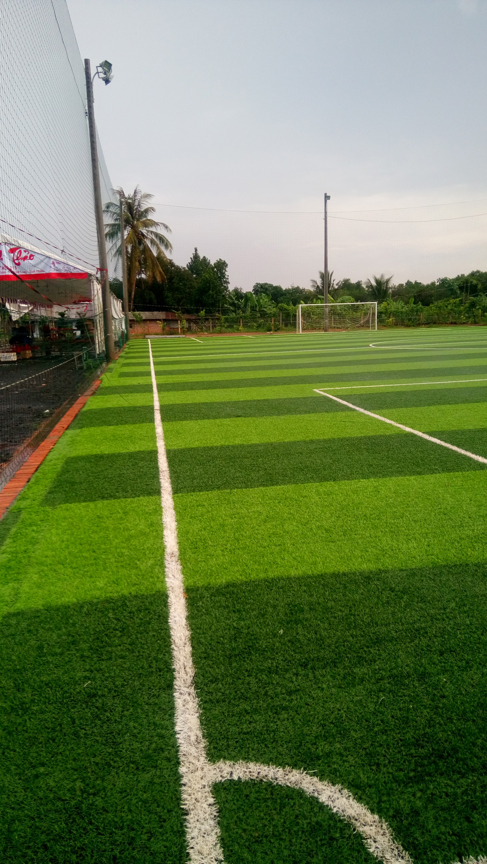 Thi công lắp đặt cỏ nhân tạo sân bóng đá tại cần thơ